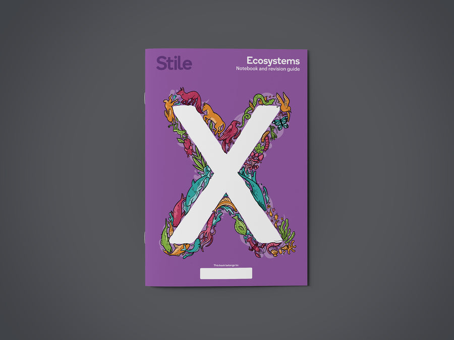 Ecosystems - Stile X workbook – Stile Education