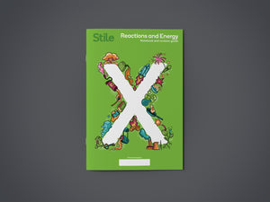 Reactions and Energy - Stile X workbook