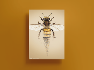 The Disappearance of Bees Poster