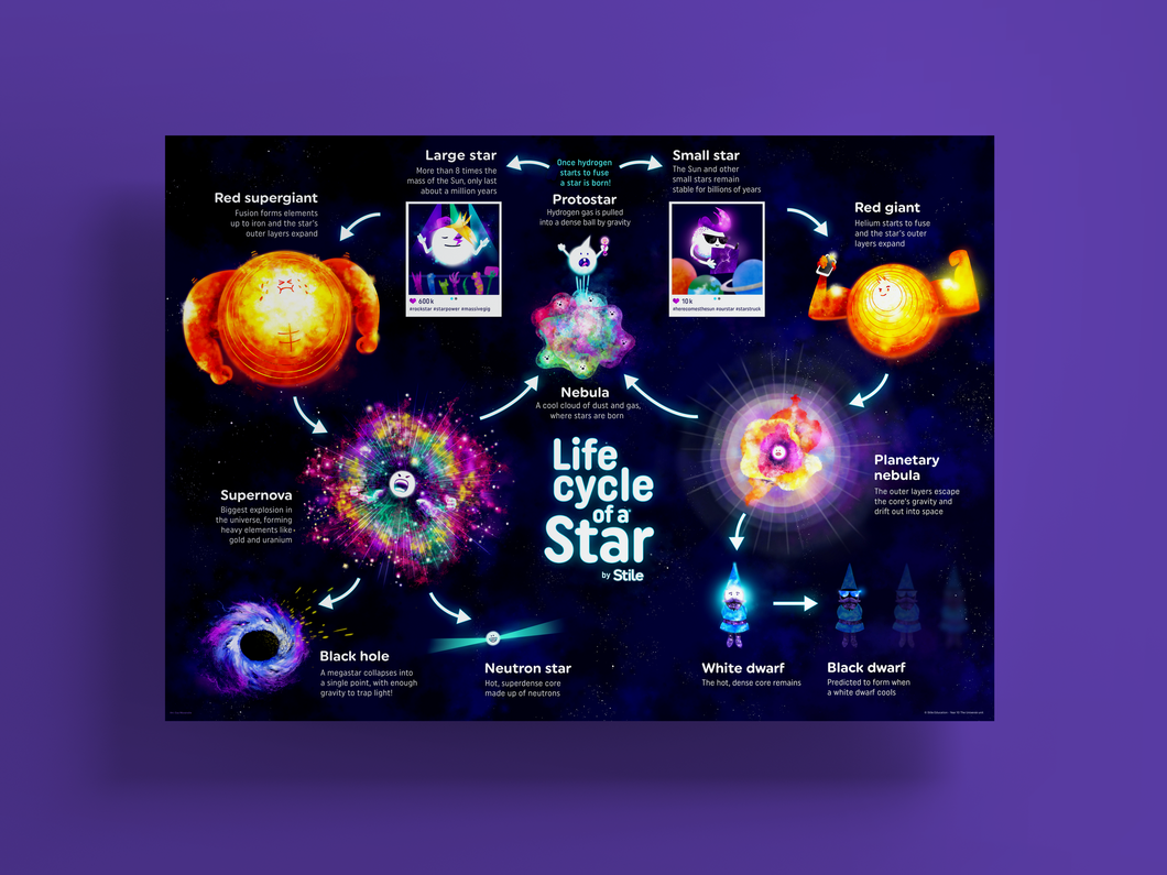 Life Cycle of a Star Poster