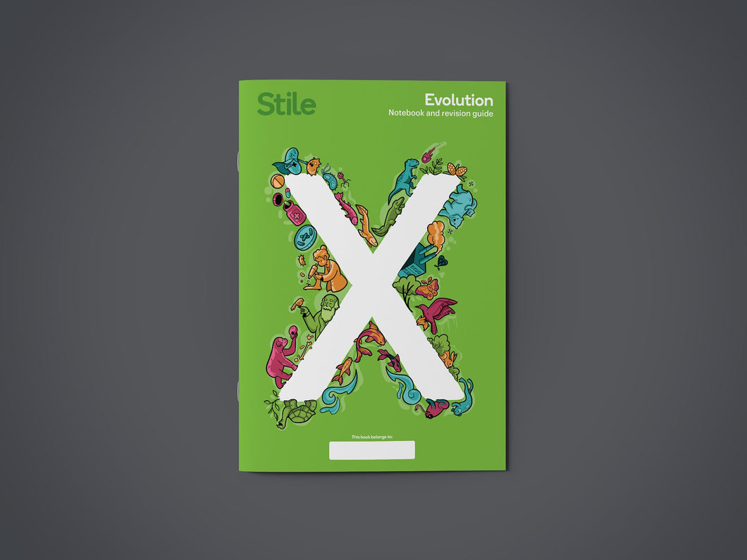 Evolution - Stile X workbook