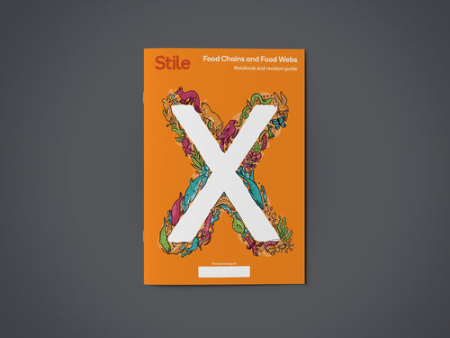 Food Chains and Food Webs - Stile X workbook