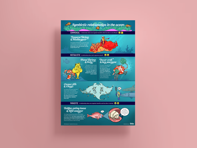 Symbiotic Relationships in the Ocean Poster